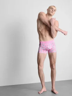 Hipster-Shorts mit Flamingo-Designs, 5er-Pack