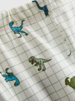 1–9 Jahre | Schlafanzug mit Dinosaurier-Grafik