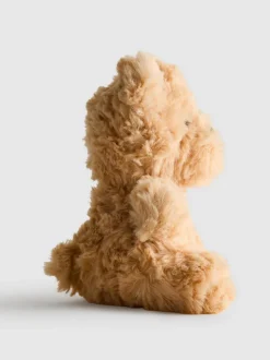 Kleines Teddybär-Plüschtier