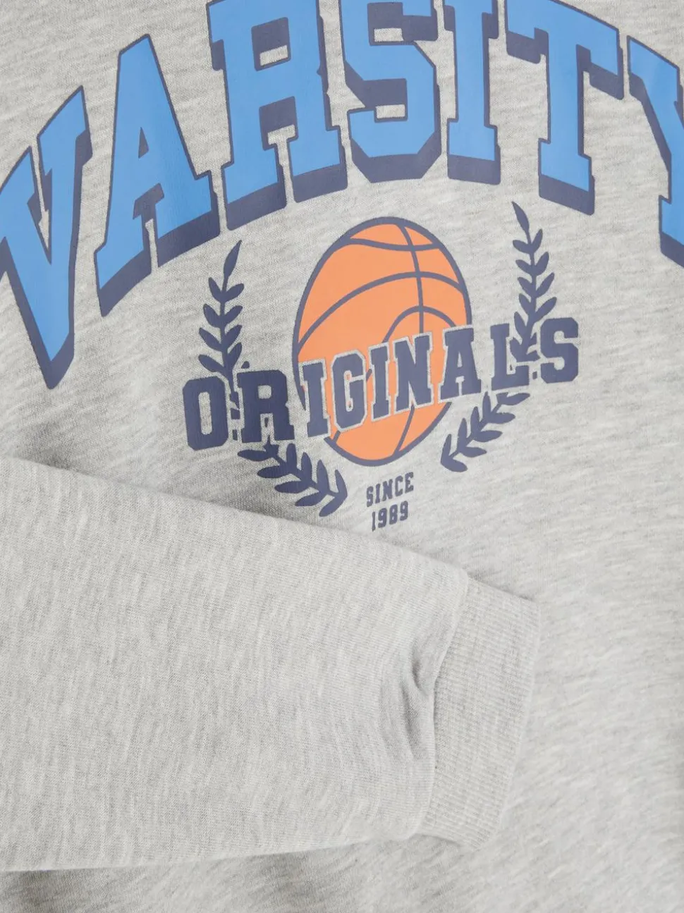 Sweatshirt mit Rundhalsausschnitt